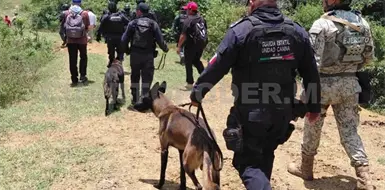 Llevan a cabo operativo con binomios caninos Llevan a cabo operativo con binomios caninos