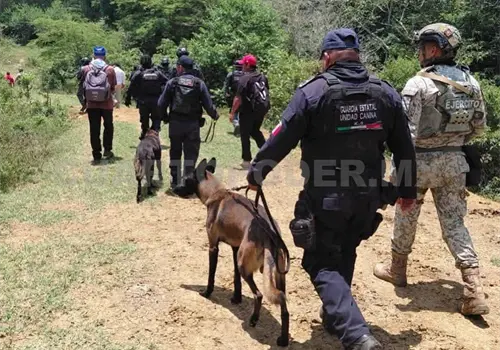 Llevan a cabo operativo con binomios caninos