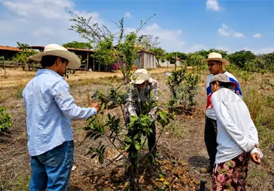 Chiapas, sin preparación ante el cambio climático Chiapas, sin preparación ante el cambio climático