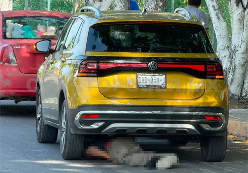 Muere adulto mayor tras ser embestido y arrastrado Muere adulto mayor tras ser embestido y arrastrado