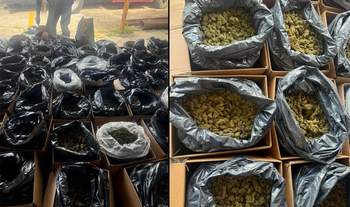 Aseguran la 46 cajas y ocho bolsas que contenían la droga. Cortesía