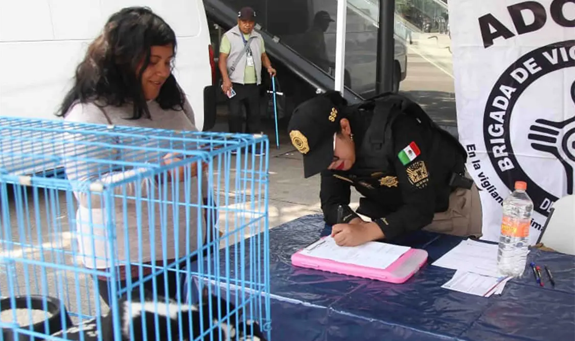 Secretaría de Seguridad celebra jornada de adopción