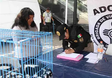 Secretaría de Seguridad celebra jornada de adopción Secretaría de Seguridad celebra jornada de adopción