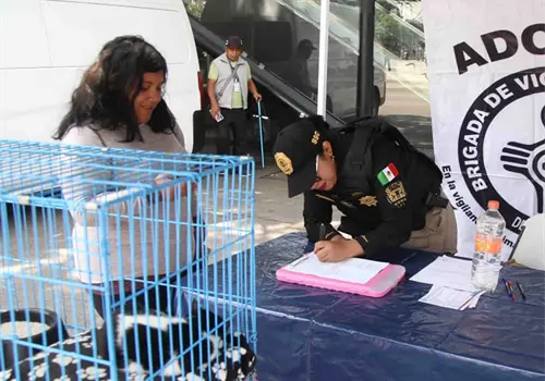 Secretar&iacute;a de Seguridad celebra jornada de adopci&oacute;n