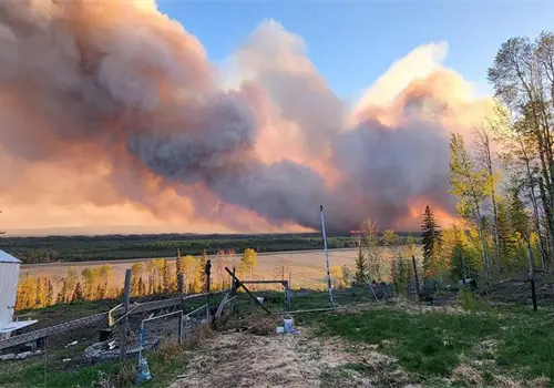 Evacuan a más de 20 mil personas por un nuevo incendio forestal Evacuan a más de 20 mil personas por un nuevo incendio forestal