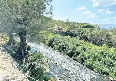 R&iacute;o Sabinal sigue luchando por sobrevivir