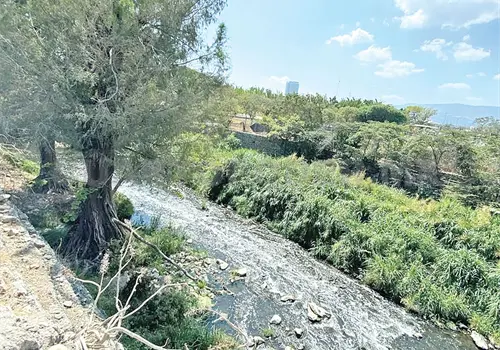R&iacute;o Sabinal sigue luchando por sobrevivir