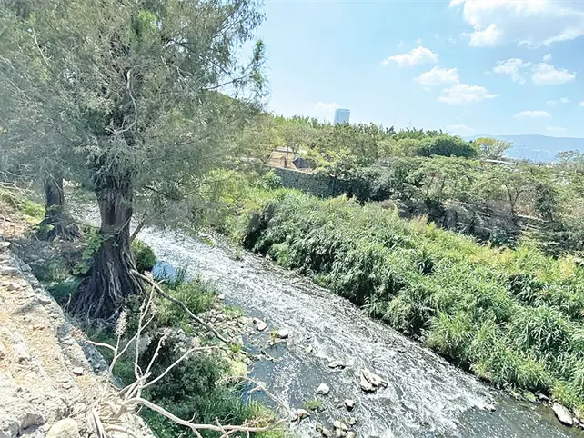R&iacute;o Sabinal sigue luchando por sobrevivir