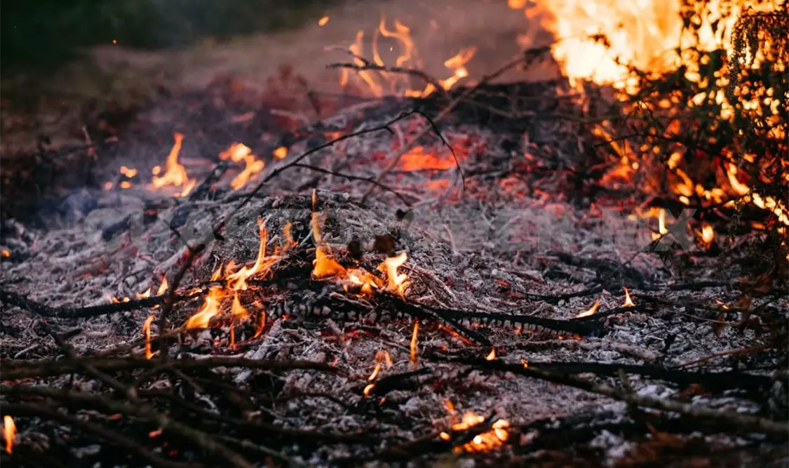 Los incendios pueden causar problemas sociales y ambientales. Diego Pérez / CP
