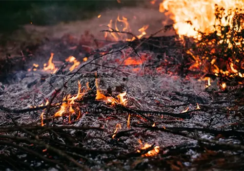 Contin&uacute;an registr&aacute;ndose incendios en la entidad
