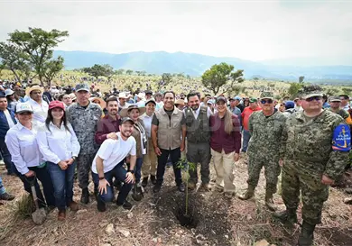 Chiapas se suma a la Jornada de Reforestaci&oacute;n