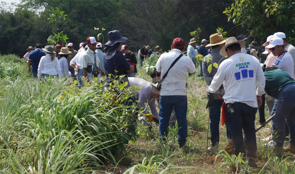 Sociedad civil y Ejército se unieron para reforestar. Daniel García / CP