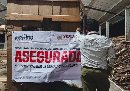 Aseguran madera en aserraderos de Comit&aacute;n