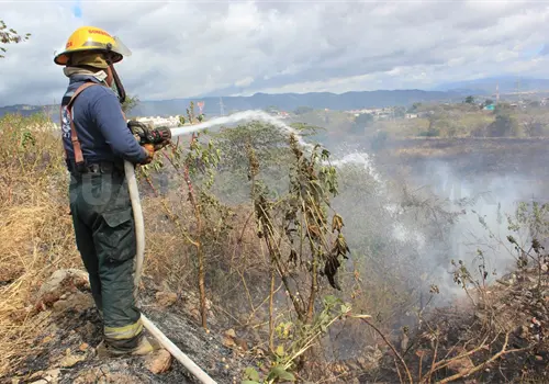 Más de dos mil hectáreas en riesgo por incendios Más de dos mil hectáreas en riesgo por incendios