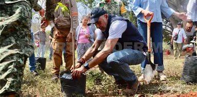 Se suman a la Jornada Nacional de Reforestaci&oacute;n