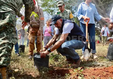 Se suman a la Jornada Nacional de Reforestación Se suman a la Jornada Nacional de Reforestación