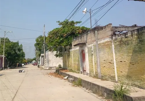 Habitantes piden fumigación urgente Habitantes piden fumigación urgente