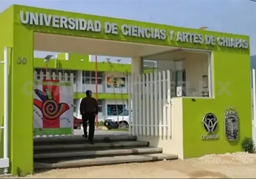 Denuncian violencia por parte de académicas Denuncian violencia por parte de académicas