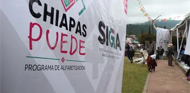 Chiapas Puede sigue bajo la verificaci&oacute;n