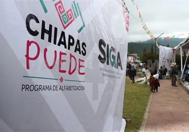 Chiapas Puede sigue bajo la verificaci&oacute;n