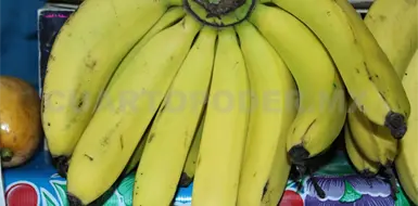 Productos chiapanecos pueden ser exportados