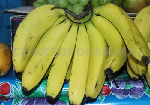 Productos chiapanecos pueden ser exportados