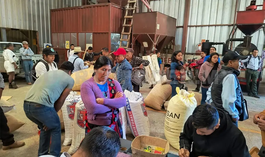 Señaló que, en comparación con otros países, México exporta casi el mismo café que consume internamente. Cortesía