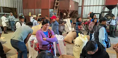 Necesario crear alianzas entre productores de café Necesario crear alianzas entre productores de café