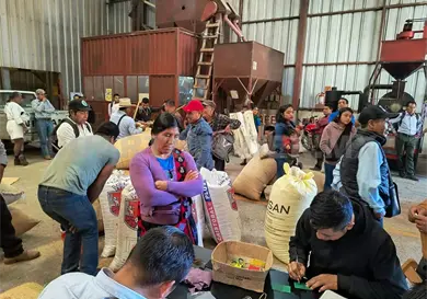 Necesario crear alianzas entre productores de caf&eacute;