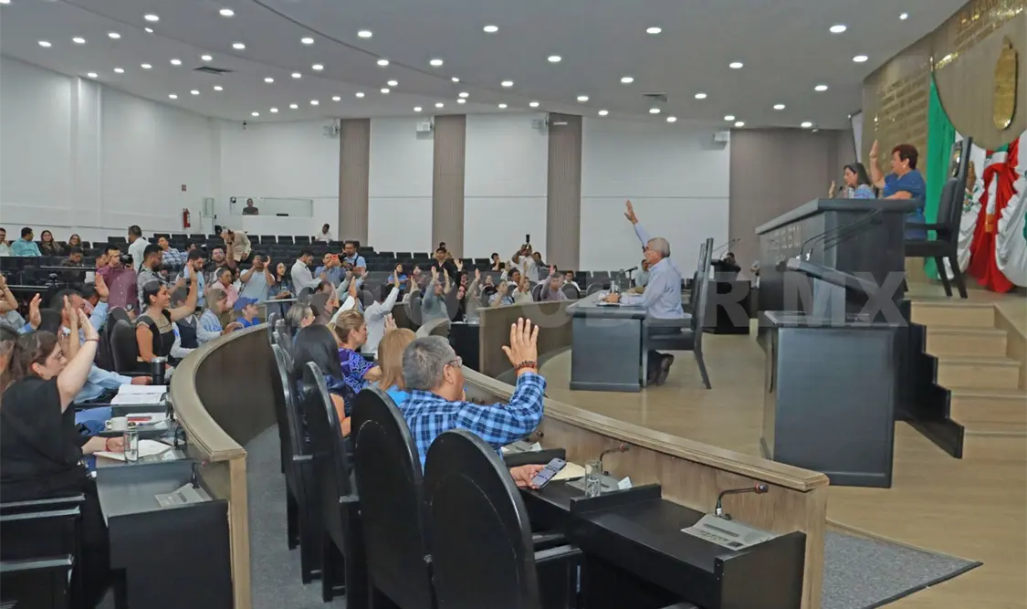 El objetivo es que, en su momento, el Congreso pueda discutir y votar el tema con base en la opinión de la ciudadanía. CP