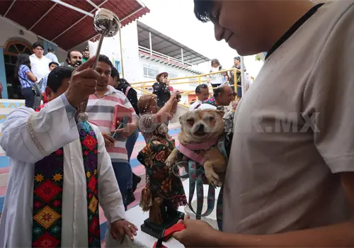 Fieles acuden a la iglesia junto con sus mascotas