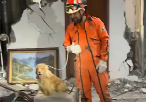 Topos Azteca realizan primer rescate en Cali Topos Azteca realizan primer rescate en Cali