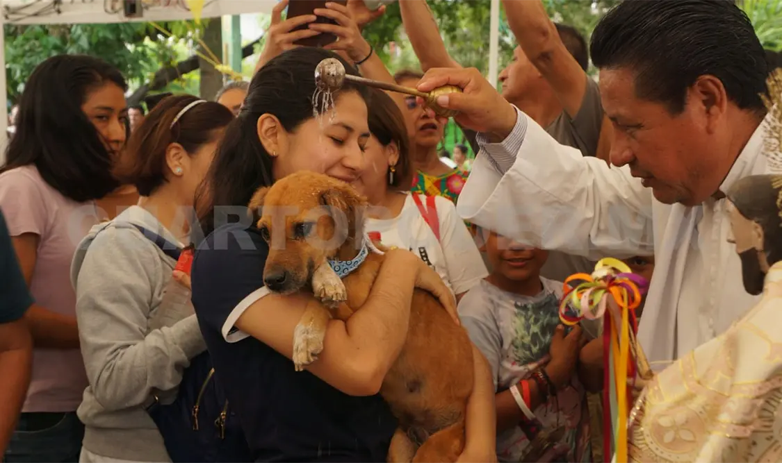 Dan gracias a Dios por la compañía de sus animales. Daniel García / CP