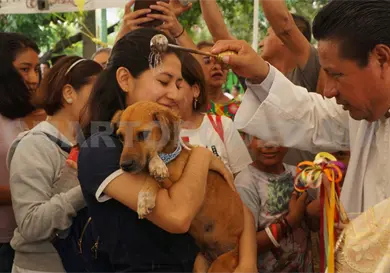 Mascotas reciben la bendici&oacute;n de San Roque