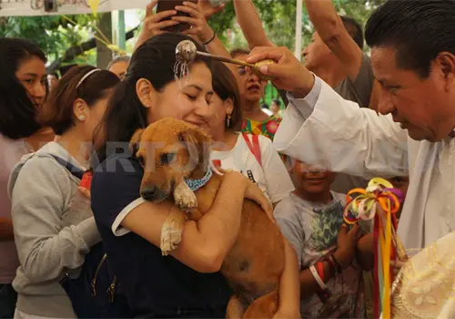 Mascotas reciben la bendición de San Roque Mascotas reciben la bendición de San Roque