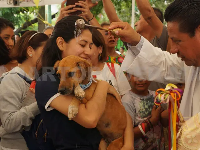 Mascotas reciben la bendici&oacute;n de San Roque