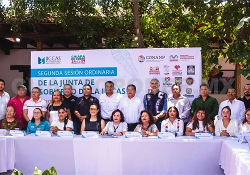 Reforestan 260 hect&aacute;reas en el Ca&ntilde;&oacute;n del Sumidero