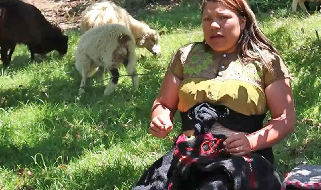 A través de estas actividades se comparten expresiones culturales y conocimientos de los pueblos mayas. Cortesía