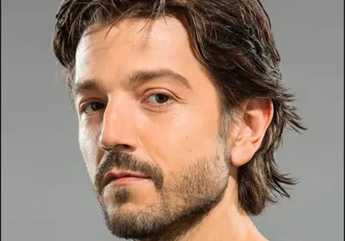 Diego Luna competir&aacute; como director