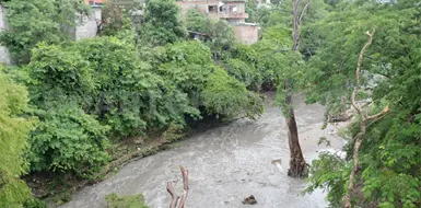 Árboles y basura agravan riesgos durante lluvias Árboles y basura agravan riesgos durante lluvias