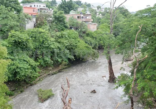 Árboles y basura agravan riesgos durante lluvias Árboles y basura agravan riesgos durante lluvias