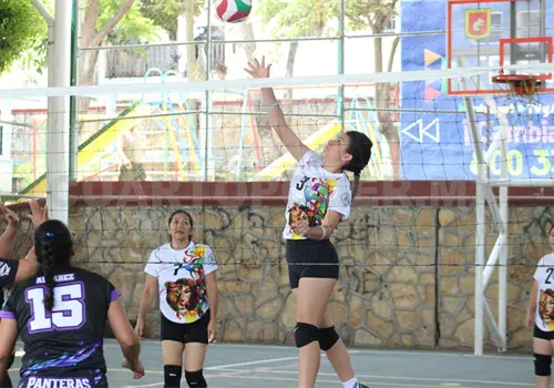 Adlers arrasa en el Campeonato Deportycosas Adlers arrasa en el Campeonato Deportycosas