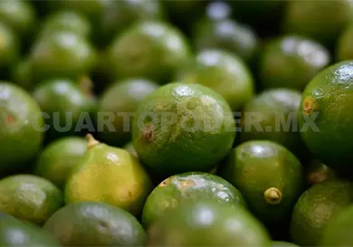 Reduce sequ&iacute;a ingresos de campesinos en Ixtapa