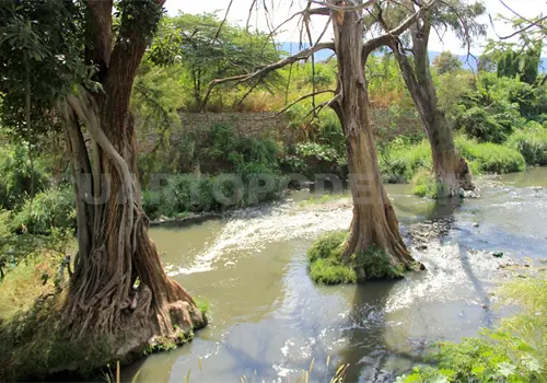 Cerca de 7 mil personas en riesgo por el r&iacute;o Sabinal
