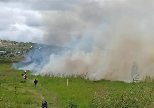 Se incendian 6 hectáreas en la ciénega de Comitán Se incendian 6 hectáreas en la ciénega de Comitán