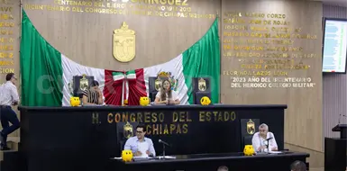 Anular&aacute;n elecciones por violencia pol&iacute;tica