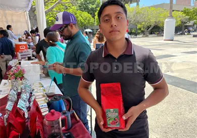 Productores cultivan con nuevas técnicas Productores cultivan con nuevas técnicas