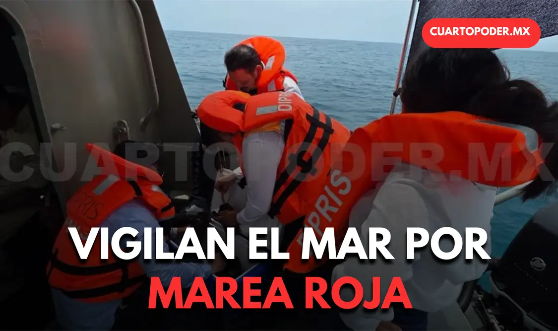 Analizan aguas del mar por posible marea roja