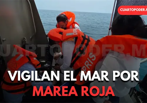 Analizan aguas del mar por posible marea roja