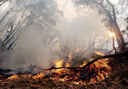 Se queman 170 hect&aacute;reas en Valle Zoque y Frailesca
